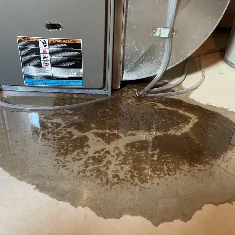 Appliance Leak Cleanup in Baidland, PA